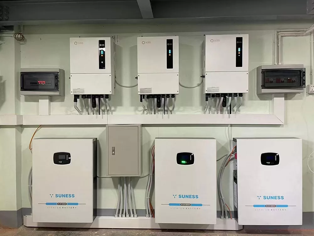 ممتاز للتجار المحترفين في سونيس في ميانمار!