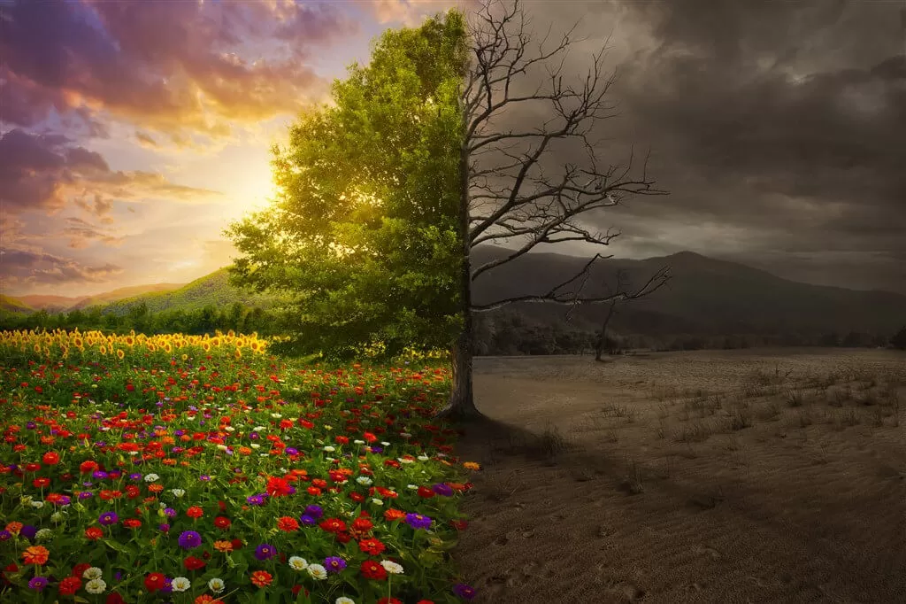 كيف تشكل أسعار الفائدة مستقبل الطاقة النظيفة